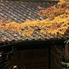 Отель Ryokan Wakaba Япония, Минамиогуни - отзывы, цены и фото номеров - забронировать отель Ryokan Wakaba онлайн фото 7