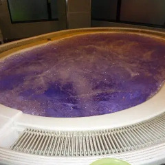 Tokyo Kiba Hotel Капсульный номер Single с различными типами кроватей фото 8
