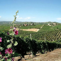 Отель Bed & Breakfast Villa "Piemonte" Тильйоле фото 6