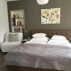 Апартаменты Kal's Studio Apartment Salzburg Зальцбург комната для гостей фото 2