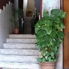 Отель Royal Residence Италия, Сиракуза - отзывы, цены и фото номеров - забронировать отель Royal Residence онлайн интерьер отеля