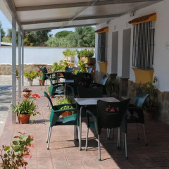 Отель Apartamentos El Palmeral Испания, Кониль-де-ла-Фронтера - отзывы, цены и фото номеров - забронировать отель Apartamentos El Palmeral онлайн питание