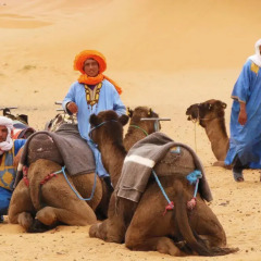 Отель Morocco Desert Trek Марокко, Мерзуга - отзывы, цены и фото номеров - забронировать отель Morocco Desert Trek онлайн приотельная территория