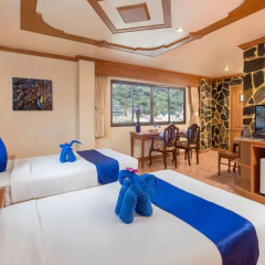 Tiger Hotel (Complex) 3* Улучшенный номер с двуспальной кроватью фото 7