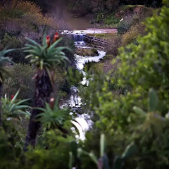 Отель Addo Palace Bush Huts фото 5