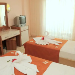 Aral Hotel Side удобства в номере фото 2