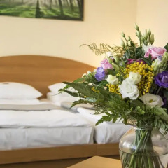 astral Inn Hotel Leipzig Лейпциг помещение для мероприятий