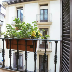 Отель Pension San Jeronimo Испания, Сан-Себастьян - отзывы, цены и фото номеров - забронировать отель Pension San Jeronimo онлайн балкон