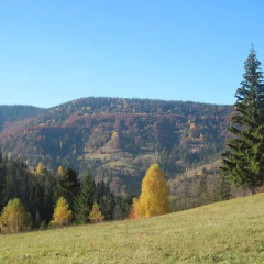 Гостиница Guest House Stari Druzy фото 7