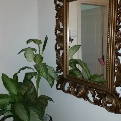 Отель B&B Rossi Rome интерьер отеля фото 2
