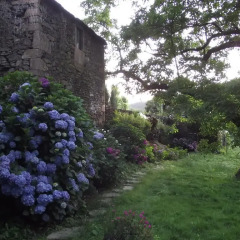 Отель Casa Da Nogueira Амаранте фото 8