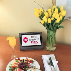 Отель Best Western Plus Gatineau-Ottawa Канада, Гатино - отзывы, цены и фото номеров - забронировать отель Best Western Plus Gatineau-Ottawa онлайн сейф в номере