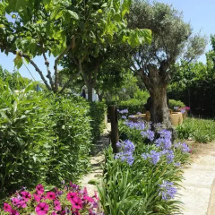 Отель Camping Del Mar Испания, Мальграт-де-Мар - отзывы, цены и фото номеров - забронировать отель Camping Del Mar онлайн фото 7