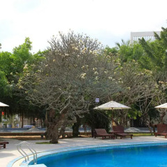 Отель Sanya Jinglilai Resort бассейн
