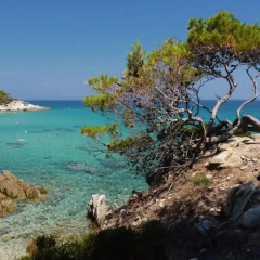 Hotel Alexandros Ситония пляж