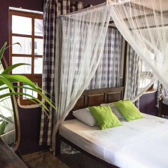 Отель Villa Taprobane комната для гостей фото 3