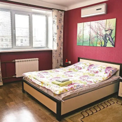 Апартаменты Elita-Home Советский район Люкс с различными типами кроватей фото 10