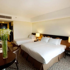 Hotel Elizabeth Cebu 3* Номер Делюкс с различными типами кроватей