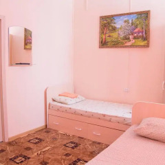 Mini-hotel "Ural" Стандартный номер с различными типами кроватей фото 6