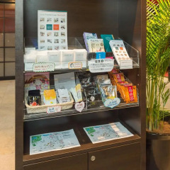 Отель Sotetsu Fresa Inn Tokyo-Akasaka развлечения