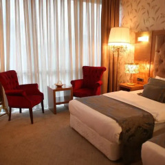 Отель Asia Artemis Suite 3* Стандартный номер с двуспальной кроватью фото 5