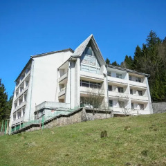 Гостиница Sanatorium Verhovyna 4* Стандартный номер с различными типами кроватей