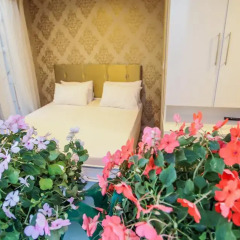 Walnut Shell Hotel 4* Стандартный номер с различными типами кроватей фото 20