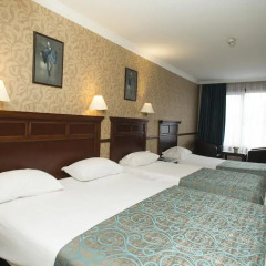 Topkapi Inter Istanbul Hotel 4* Стандартный семейный номер с двуспальной кроватью фото 20
