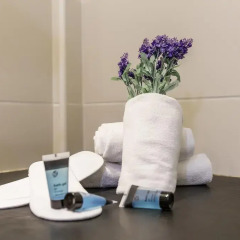Отель SM Hotel Sant Antoni Испания, Барселона - - забронировать отель SM Hotel Sant Antoni, цены и фото номеров ванная фото 2