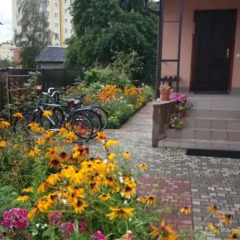 Гостиница Guest House Trigona в Зеленоградске отзывы, цены и фото номеров - забронировать гостиницу Guest House Trigona онлайн Зеленоградск фото 5