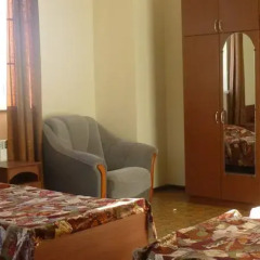 Гостиница Малое средство размещения Гостевые комнаты "Родничок" в Сочи отзывы, цены и фото номеров - забронировать гостиницу Малое средство размещения Гостевые комнаты "Родничок" онлайн комната для гостей фото 9