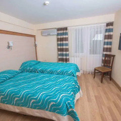 Timeks Hotel 3* Стандартный номер с двуспальной кроватью фото 3