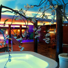 Spa Hotel Lavendel развлечения