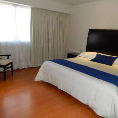 Hotel Roma Guadalajara 3* Номер Делюкс с различными типами кроватей