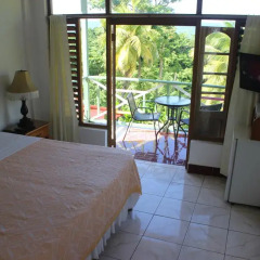 Отель Rio Vista Resort 2* Номер Делюкс с различными типами кроватей фото 9