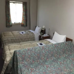 Shinseto Station Hotel 2* Стандартный номер фото 6