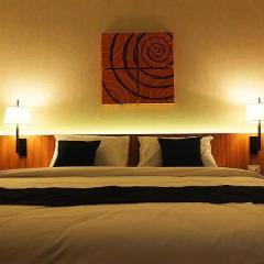 Apo Hotel 3* Номер Делюкс с различными типами кроватей фото 8