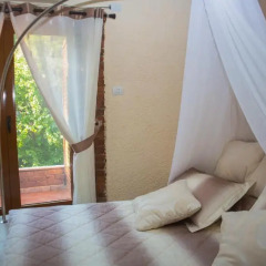 Hotel Livia 3* Люкс фото 3