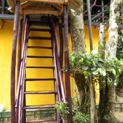 Отель Aelam Home Stay Cabana Номер Делюкс с различными типами кроватей фото 15
