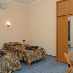 Griboff Hotel 3* Стандартный номер разные типы кроватей фото 2