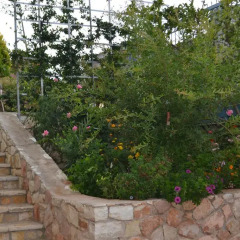 Отель Villa Paja Албания, Ксамил - отзывы, цены и фото номеров - забронировать отель Villa Paja онлайн фото 2