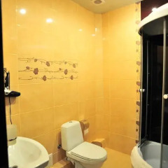 Гостиница Ной 3* Люкс разные типы кроватей фото 17