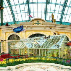 Отель Bellagio детские мероприятия фото 2