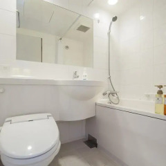 Отель Mystays Fukuoka Tenjin-Minami 3* Стандартный номер фото 3