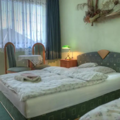 Отель Willa Albatros 2* Стандартный номер с различными типами кроватей фото 3