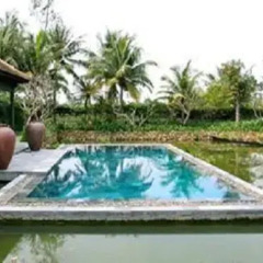 Отель VIlla Hoa Su 3* Стандартный номер с различными типами кроватей