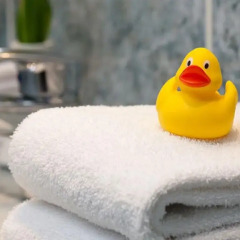 Отель carathotel München City Германия, Мюнхен - 10 отзывов об отеле, цены и фото номеров - забронировать отель carathotel München City онлайн приотельная территория