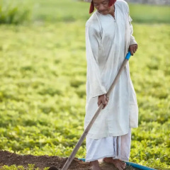 Отель INRA Champa Homestay фото 2