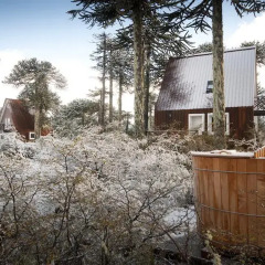 Отель Lodge Conguillio спа