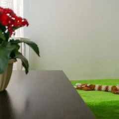 Гостиница Guest House Mayakovskaya Номер Комфорт с различными типами кроватей